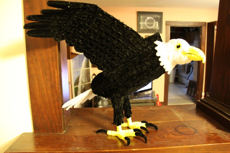 pipe cleaner chenille stem eagle side